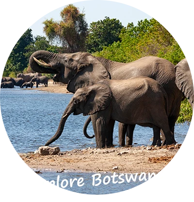 Self-Drive-Safari-Botswana-uber-uns