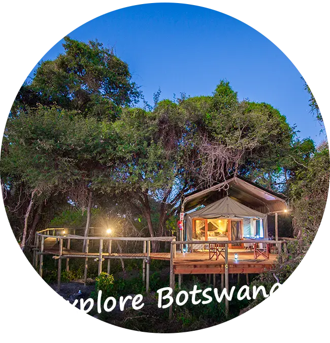 Explore-Botswana-Organisierte-Safari-Selbstfahrerurlaube-Was-Wir-Anbieten