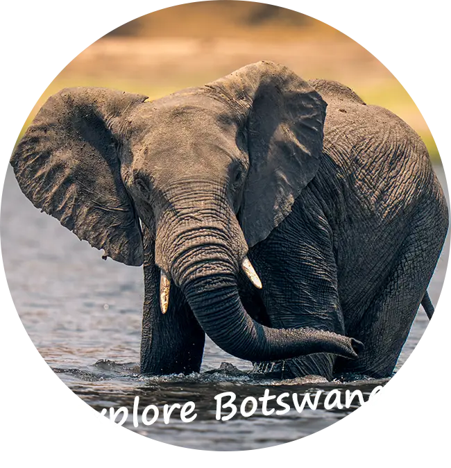 Selbstfahrer-Safari-Touren-Botswana-Kundenfeedback