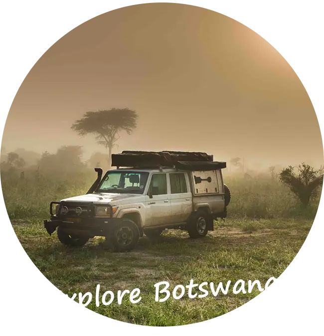 Mietwagen-Botswana-Selbstfahrer-Safari-Touren-Kfz-Versicherung