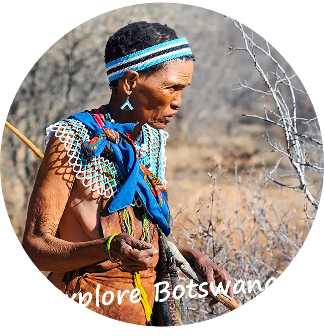 Selbstfahrer-Safari-Touren-Botswana-Kontakt