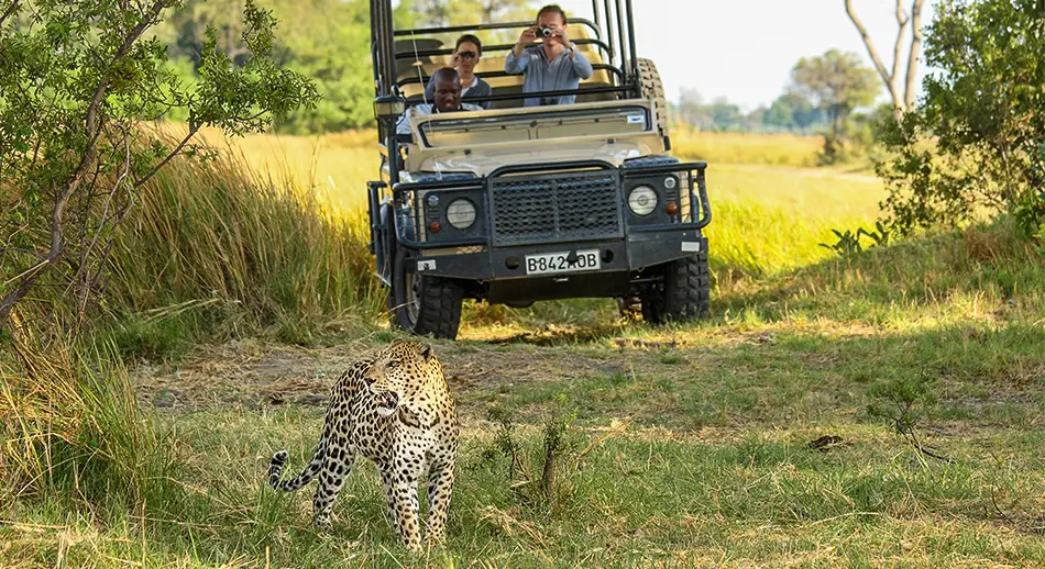 Explore-Botswana-Selbstfahr-Safari-Reisen-Botswana