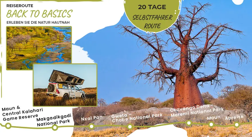 Selbstfahrer-Safari-Touren-4x4-Mietwagen-Botswana-Route-Back-to-Basics