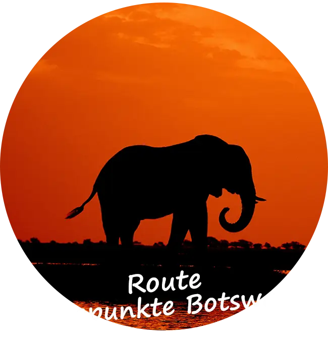 Selbstfahrer-Safari-Touren-4x4-Mietwagen-Botswana-Route-Hohepunkte