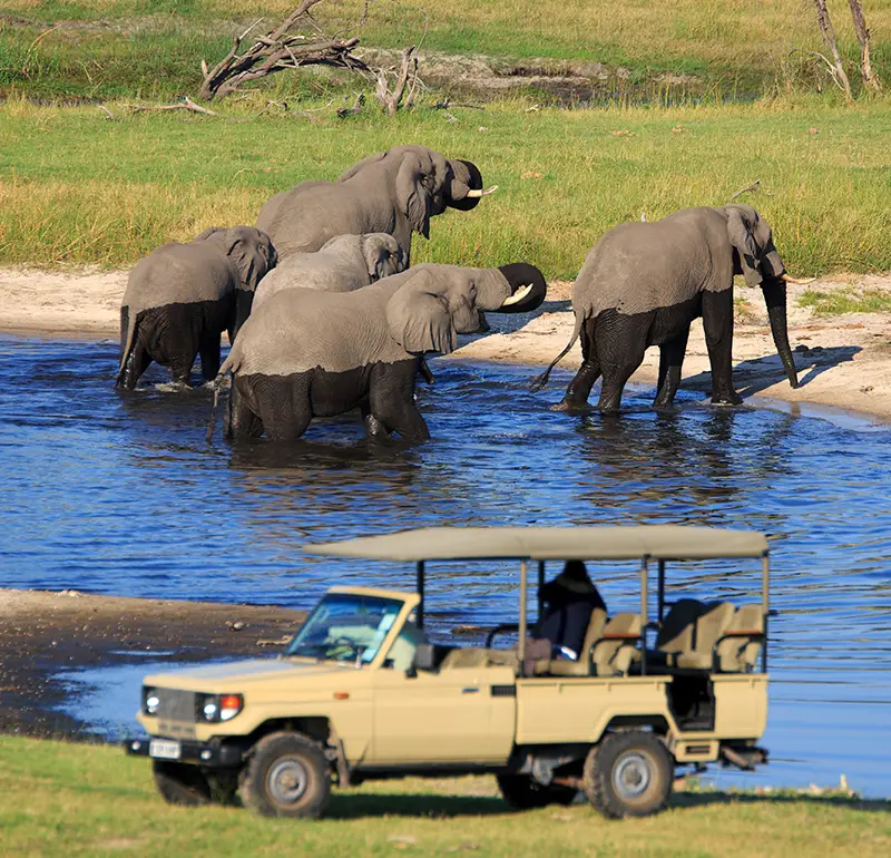 Selbstfahrer-Safari-Touren-4x4-Mietwagen-Botswana