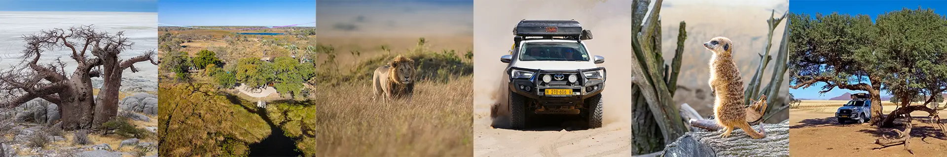 Self-Drive-Safari-4x4-Car-Hire-Botswana-Route-Back-to-Basics