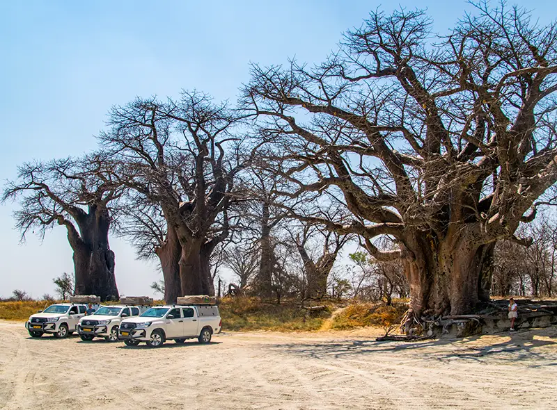 Explore-Botswana-Selbstfahr-Safari-Reisen-Botswana