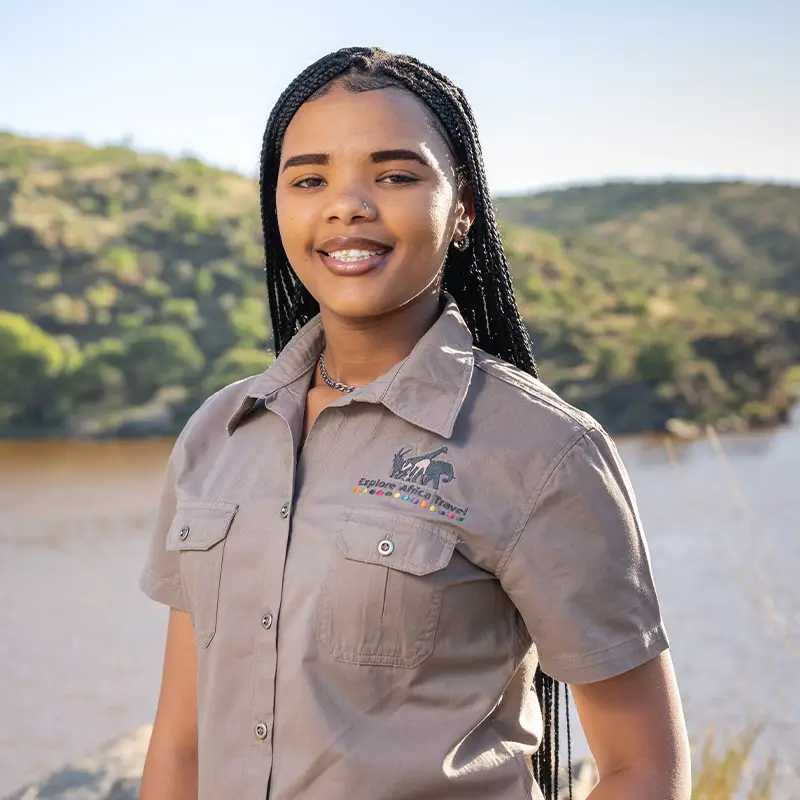Viola
